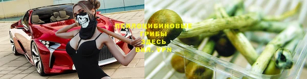 ешки Алексин