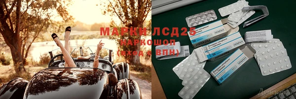 PSILOCYBIN Алексеевка
