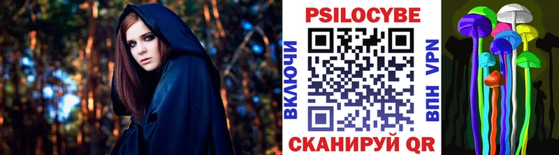KRAKEN зеркало  закладка  Киржач  Галлюциногенные грибы Psilocybe 